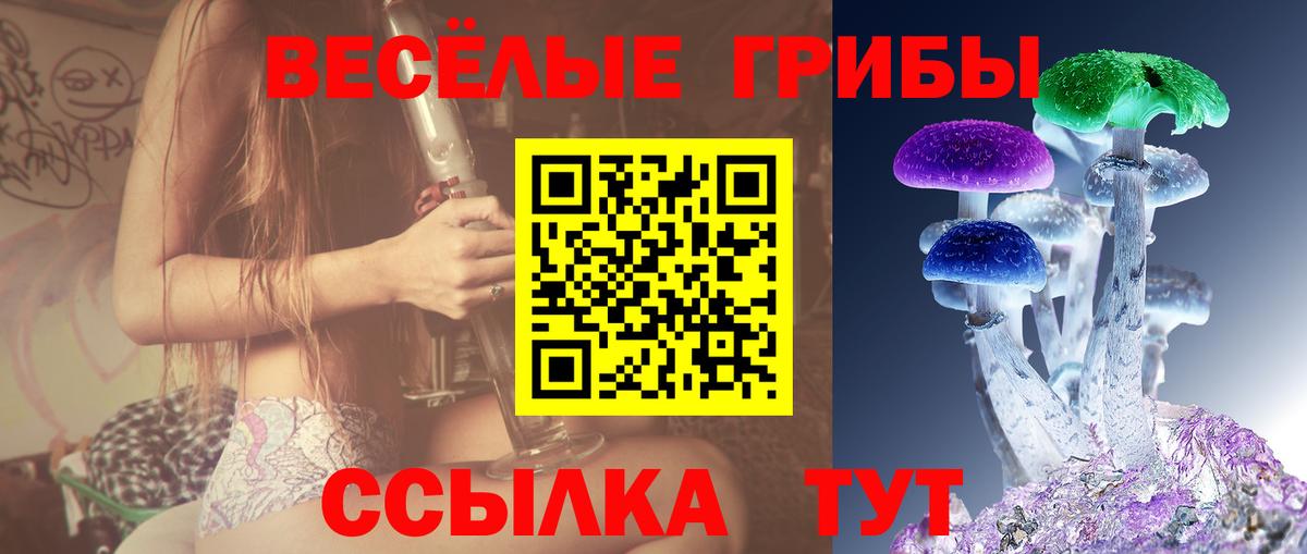 Галлюциногенные грибы Psilocybe  Вход с VPN  Ишим 